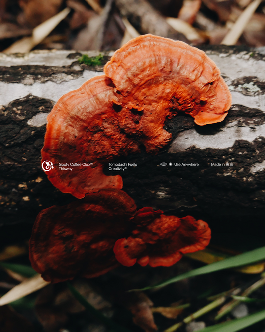 Goofy Coffee Club Vibram Card Wallet - Mushroom