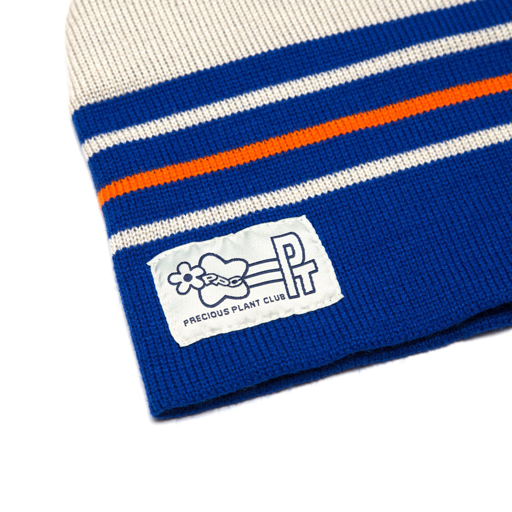 Precious Plant Club Skull Beanie - Blue/Cream/Orange
