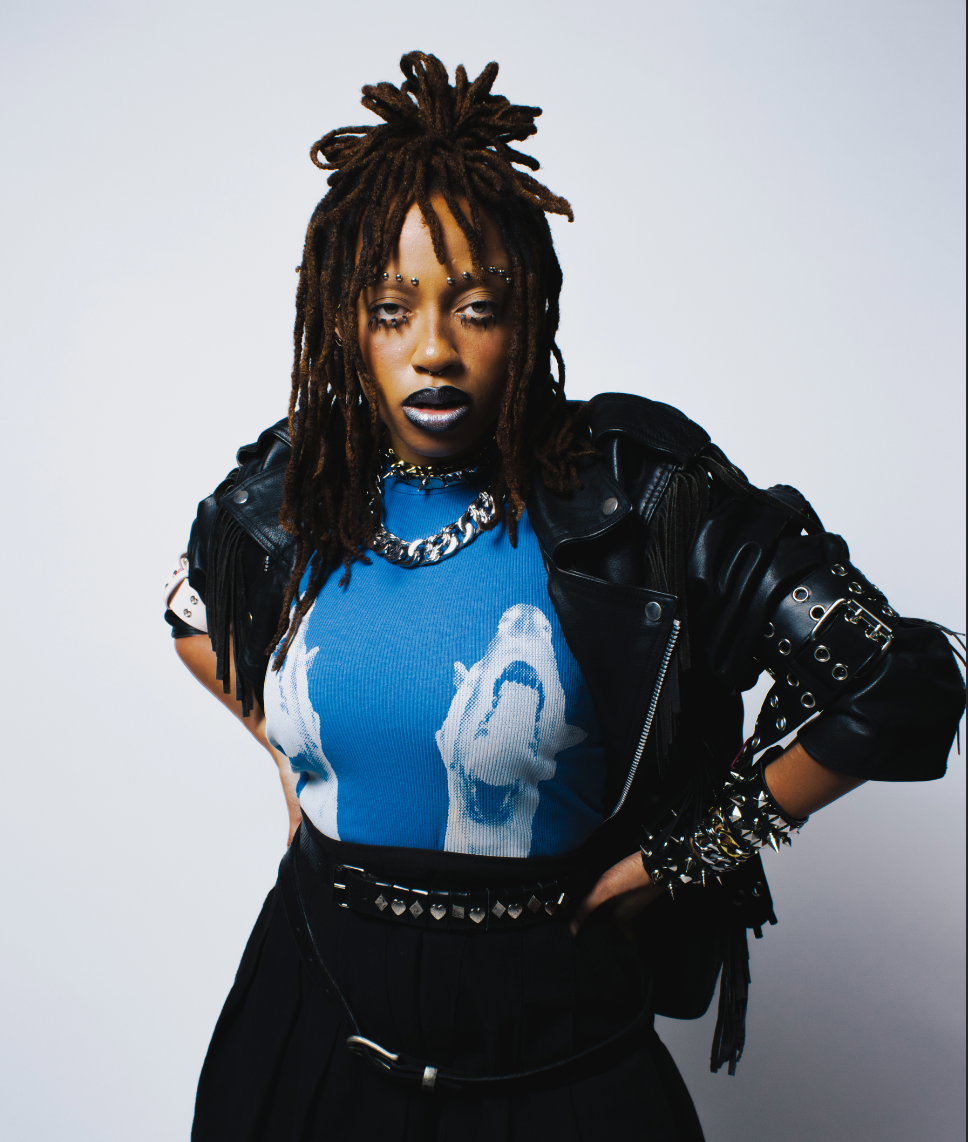 Backyard 2 Guard Dog Vest - Blue