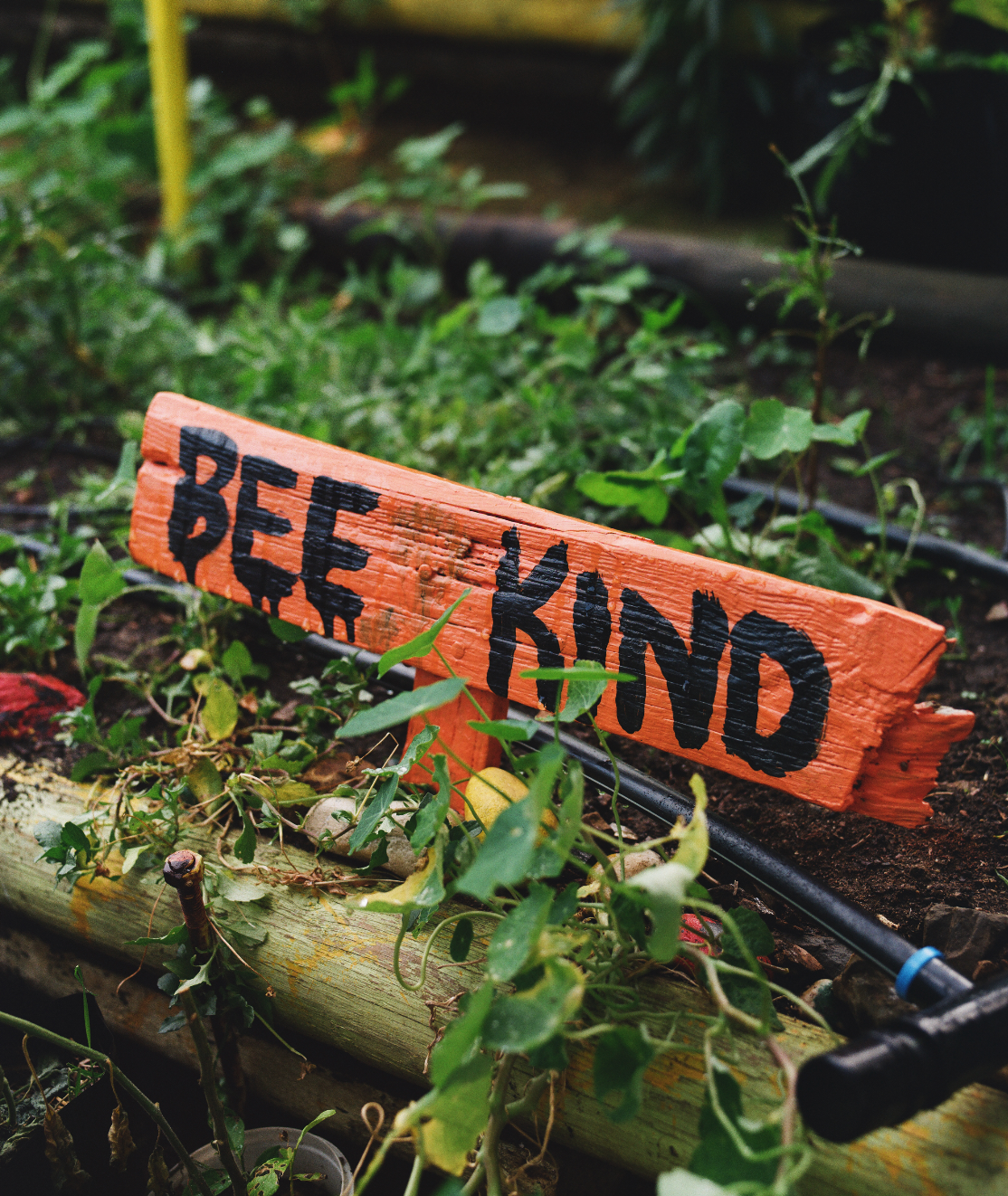 PPC x Sneakerlab "Earthday" LS T-shirt - Cream