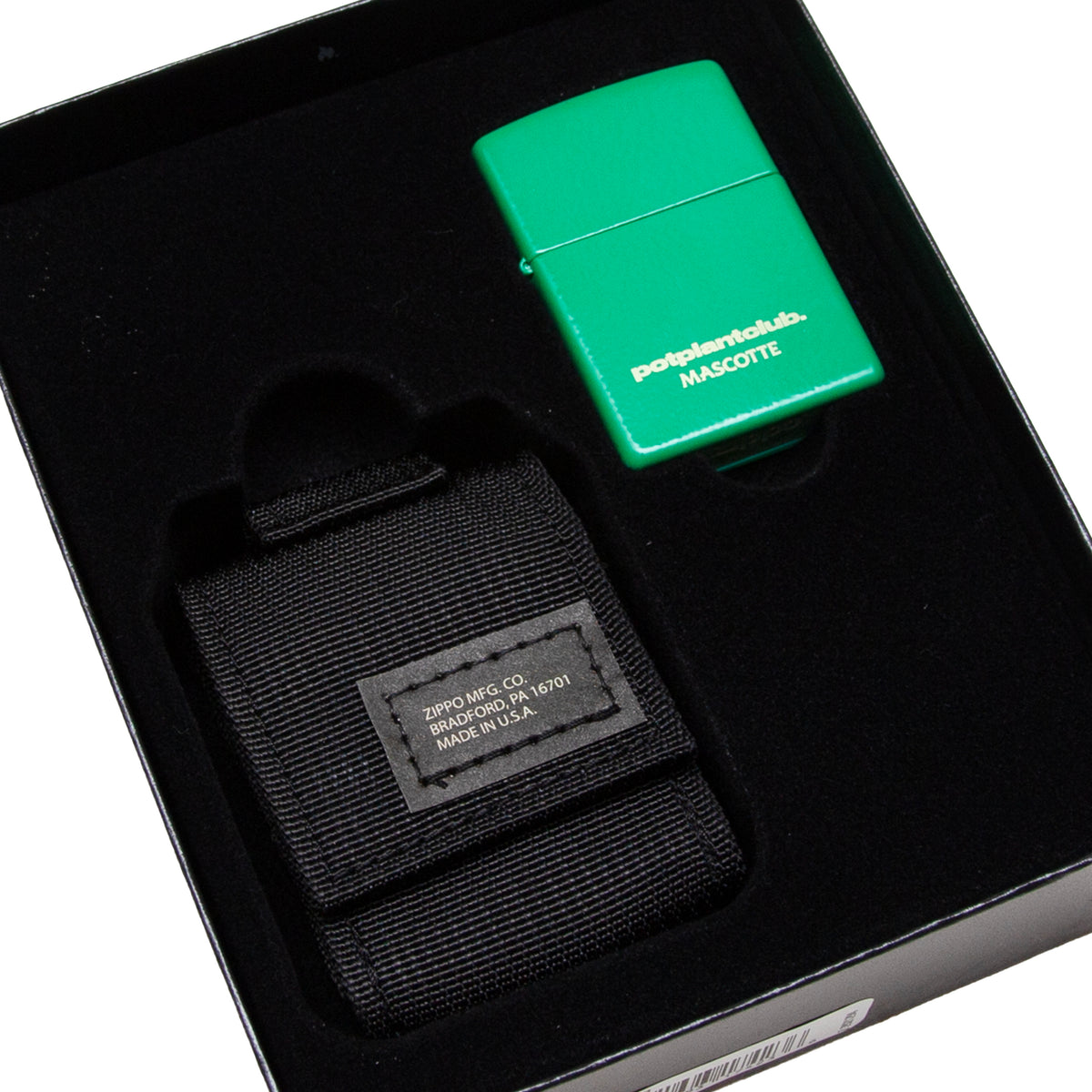 Potplantclub x Mascotte Zippo - Green