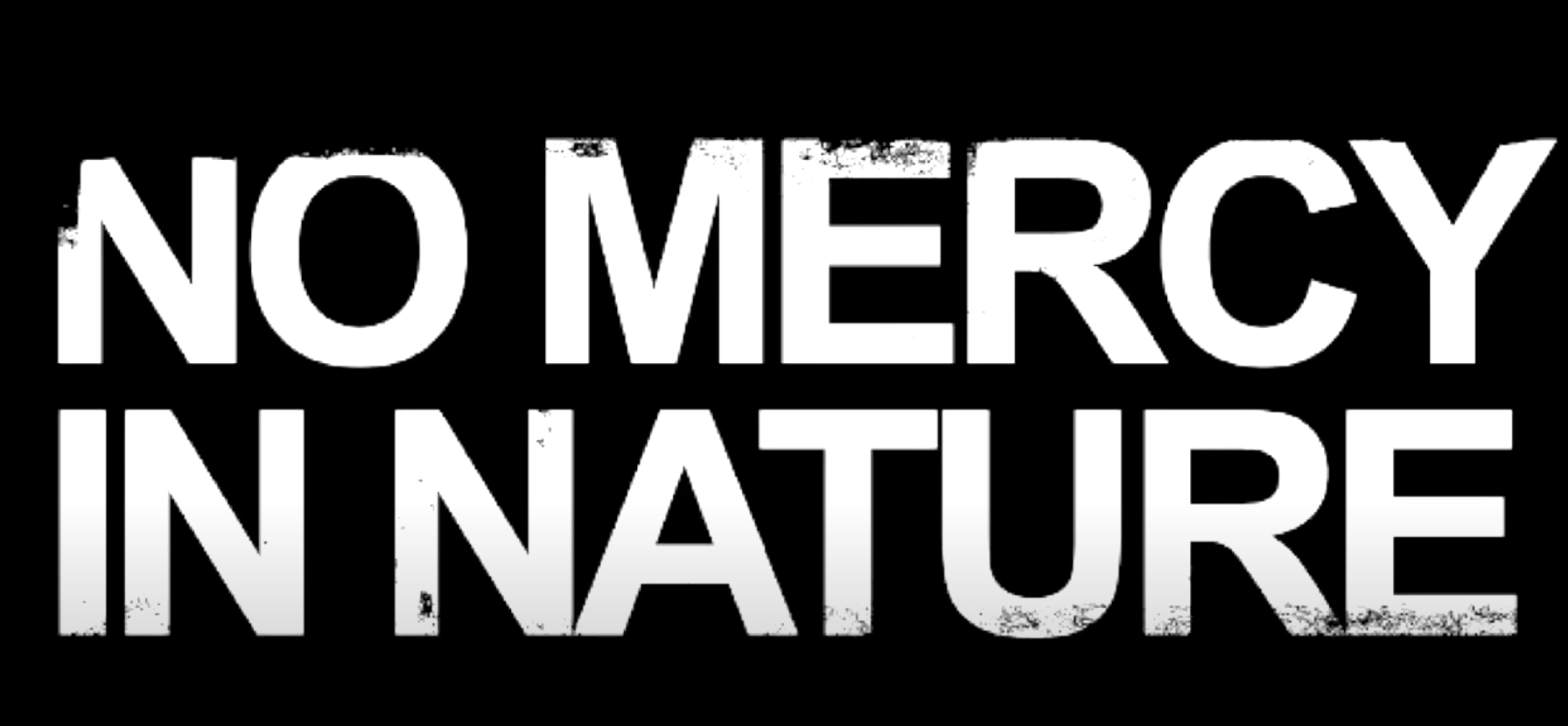Load video: PPC X TNO X MASCOTTE - NELLZ